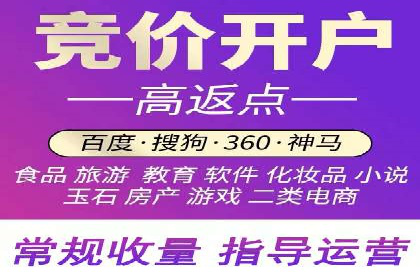 竞价托管服务案例解析